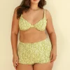 Twin Fin Matcha Underwire Full Set